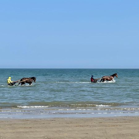 Pressoir De La Mare Superhote 12 Minutes De Cabourg Goustranville Exteriér fotografie