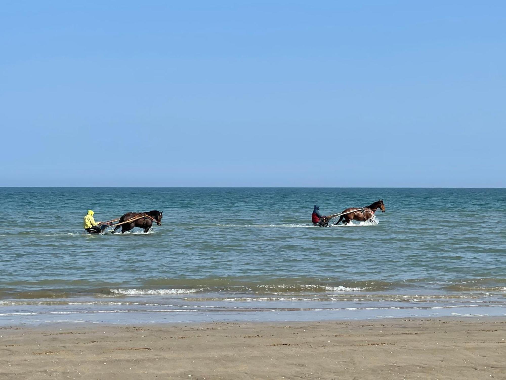Pressoir De La Mare Superhote 12 Minutes De Cabourg Goustranville Exteriér fotografie